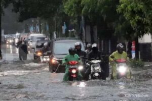 Kerugian akibat perubahan iklim bisa mencapai Rp 2005 triliun