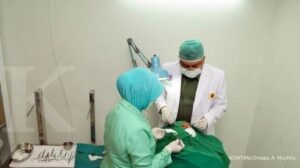 Wisata Medis RI ke Korea Naik 75%, Sinarmas Land Hadirkan di Kawasan Ekonomi Banten