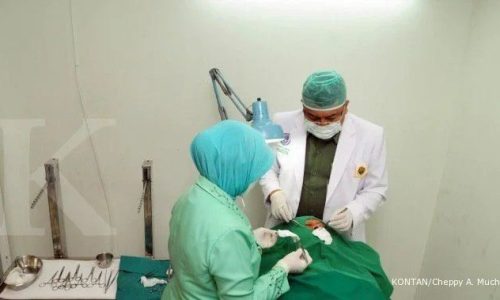 Wisata Medis RI ke Korea Naik 75%, Sinarmas Land Hadirkan di Kawasan Ekonomi Banten